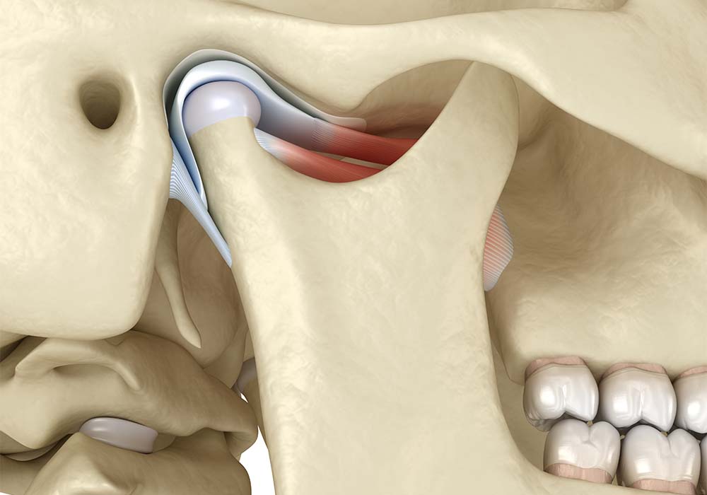 TMJ: The temporomandibular joints
